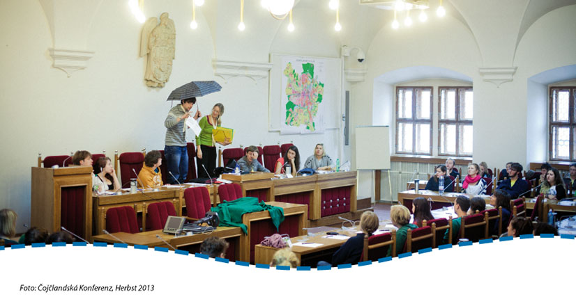 pics organigramm 826x440 01