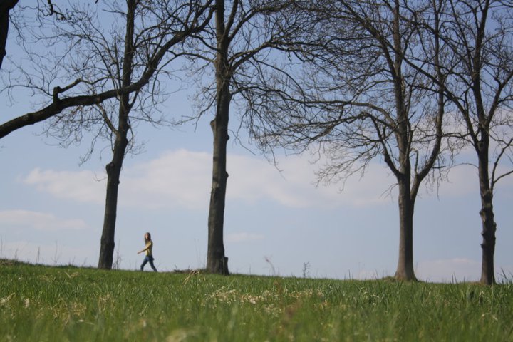 Open Call für Grenzlandreisen